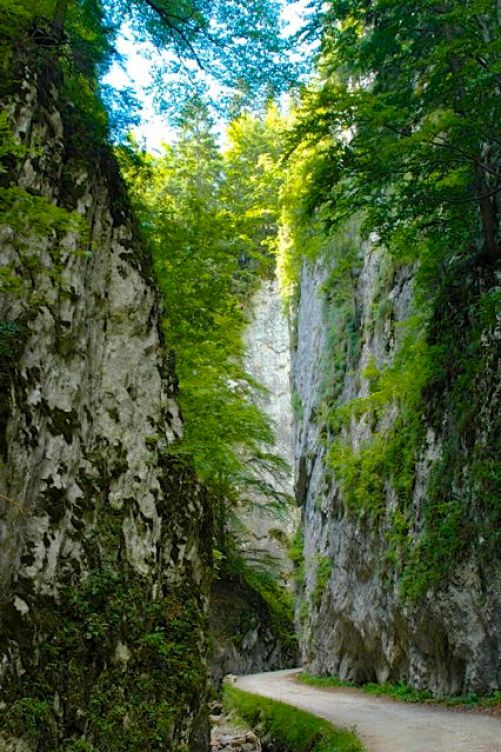 The gorges below the village